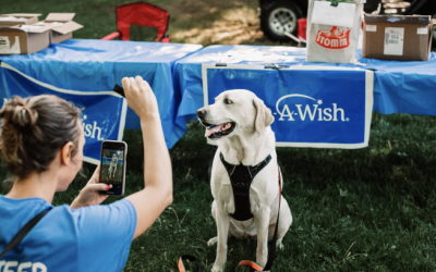 Rogue Wave is Sponsoring Wagging For Wishes!