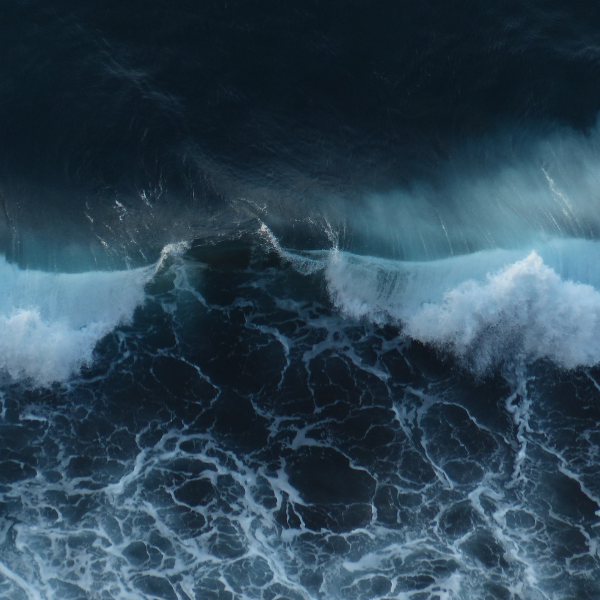 Wave (1)